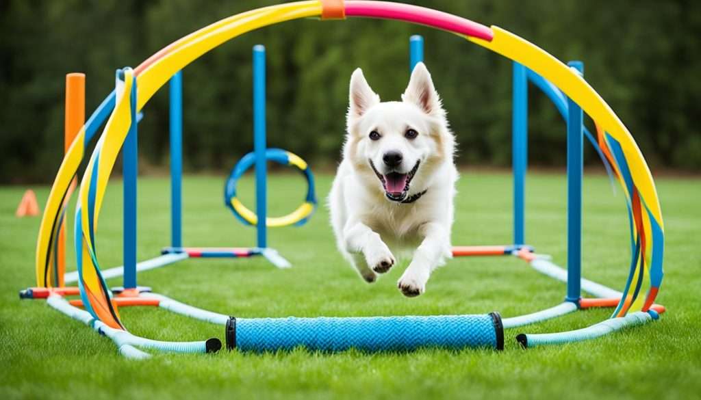 Advanced tools for dog agility training