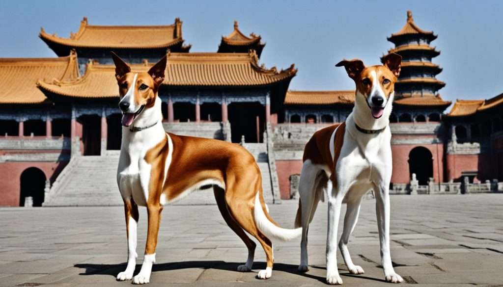 Ancient Dog Breeds - Chinese Saluki and Basenji