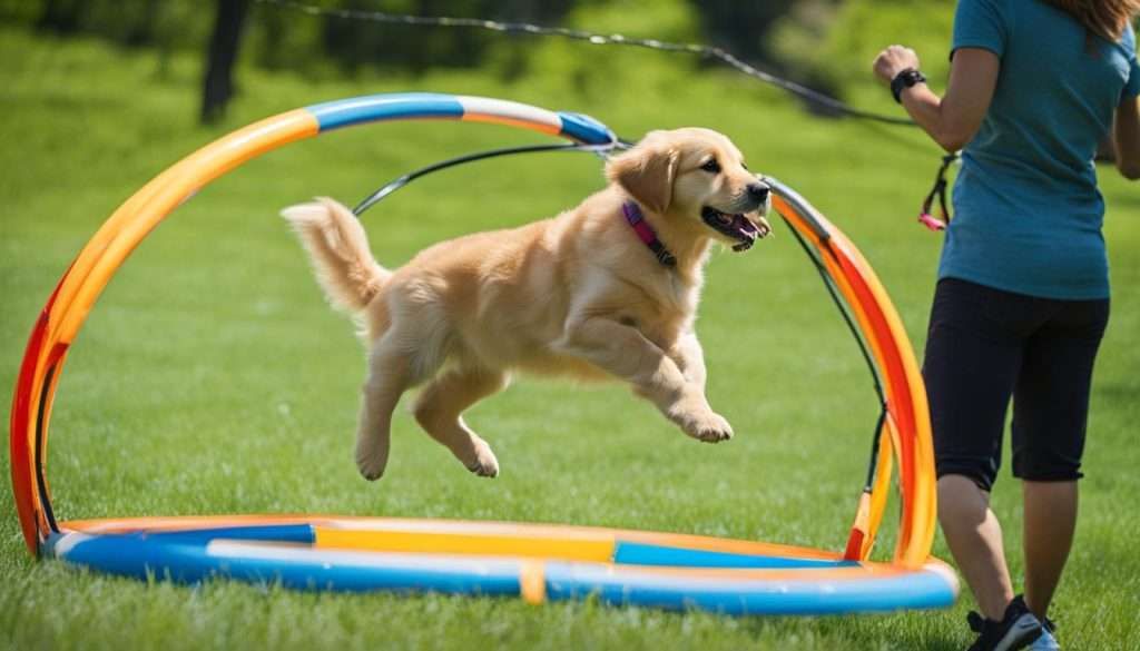 agility training for puppies