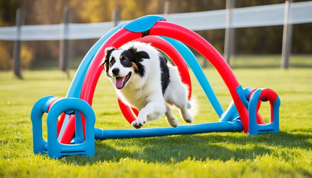 top-rated dog training equipment